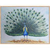 Large Peacock Portrait canvas art - Green Ninja