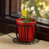 Plant In A Cup Balcony Floor Planter - Green Ninja