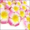 Premium PE Foam Floating Pink Flowers - Green Ninja