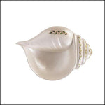 Terra-Cotta Pearl White Conch Shell Urli - Green Ninja